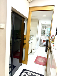 The Quartz (D19), Condominium #487679721